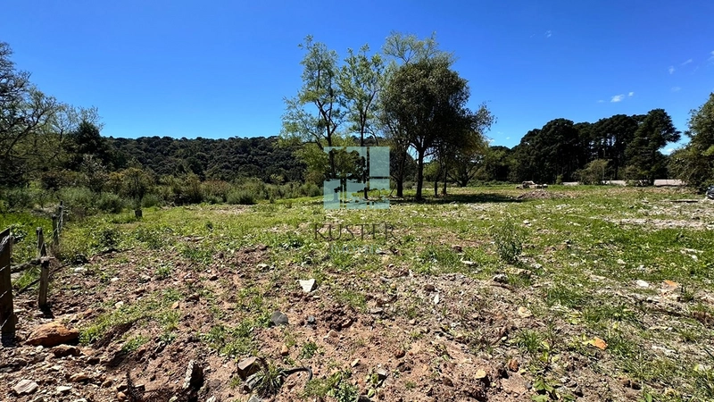 Lote 1500m² : 6ª foto da galeria de imagens do imóvel