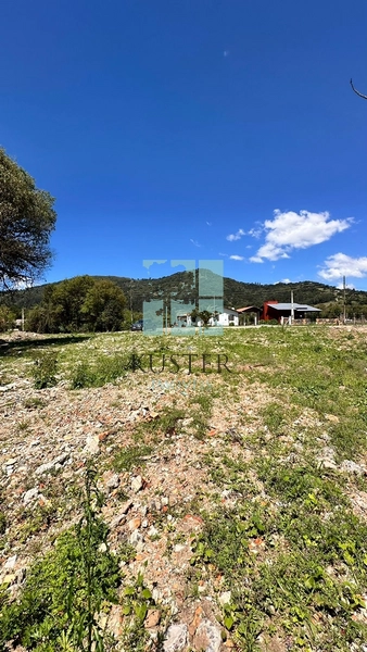 Lote 1500m² : 10ª foto da galeria de imagens do imóvel