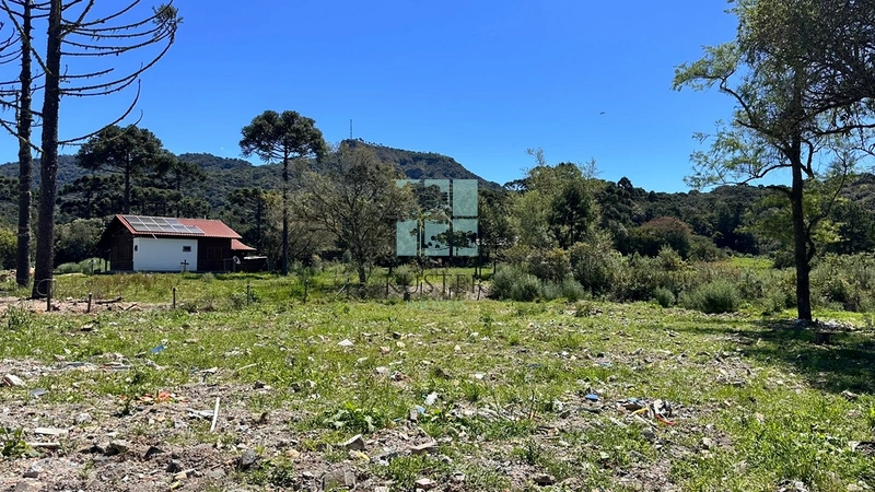 Lote 1500m² : 11ª foto da galeria de imagens do imóvel