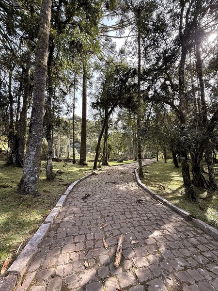 Belíssima Casa em Urubici: 16ª foto da galeria de imagens do imóvel