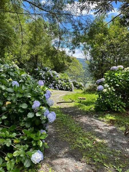 Terreno no Morro da Igreja: 4ª foto da galeria de imagens do imóvel