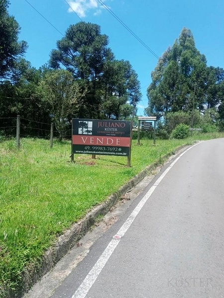 Terreno no Morro da Igreja: 7ª foto da galeria de imagens do imóvel