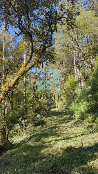 Pousada à venda em Urubici – SC | Santa Tereza: 19ª foto da galeria de imagens do imóvel
