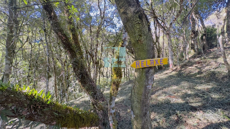 Pousada à venda em Urubici – SC | Santa Tereza: 18ª foto da galeria de imagens do imóvel