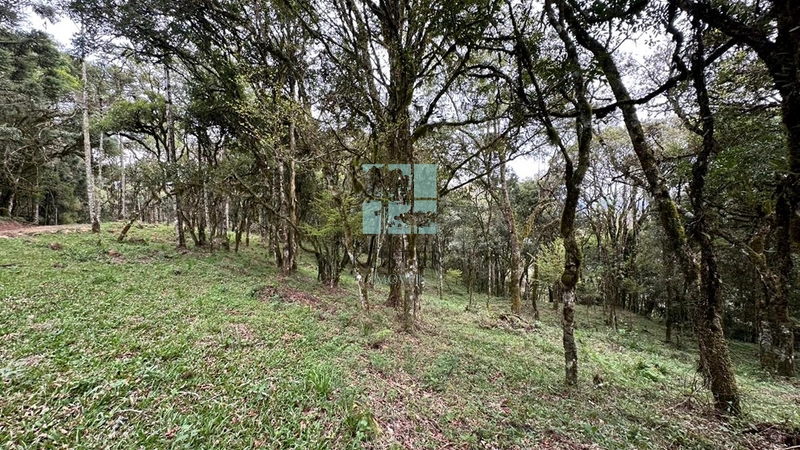 Terreno ao Lado da Cidade: 6ª foto da galeria de imagens do imóvel