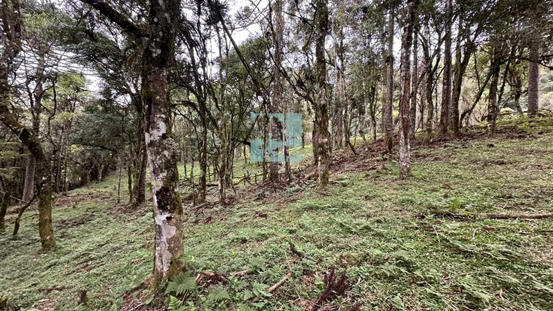 Terreno ao Lado da Cidade: 10ª foto da galeria de imagens do imóvel