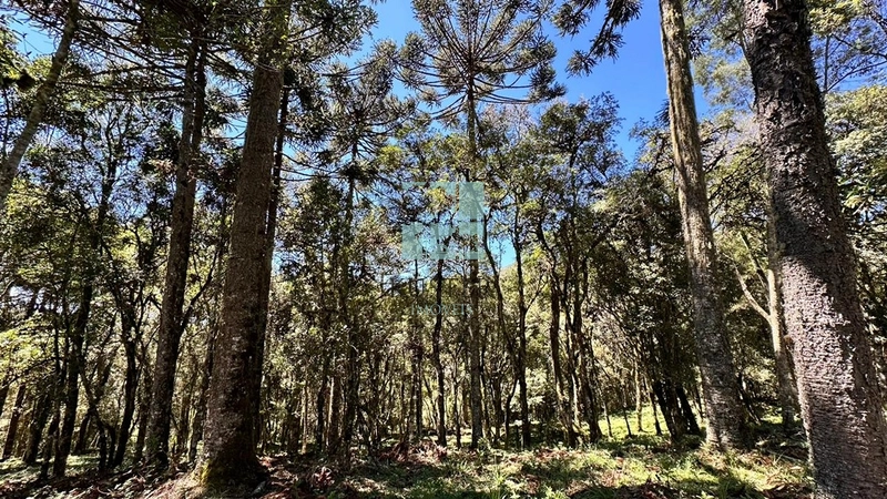 Terreno ao Lado da Cidade: 7ª foto da galeria de imagens do imóvel