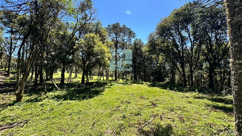 Terreno ao Lado da Cidade: 3ª foto da galeria de imagens do imóvel