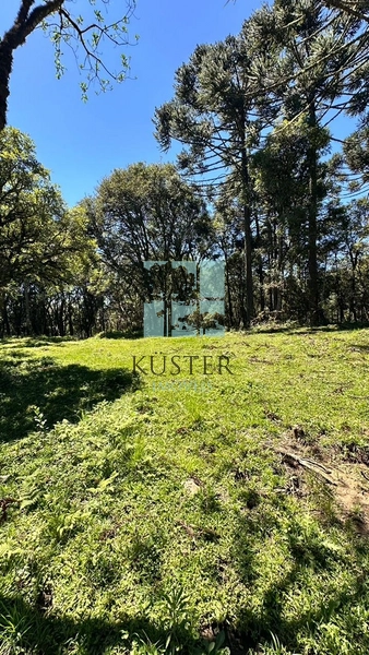 Terreno ao Lado da Cidade: 2ª foto da galeria de imagens do imóvel