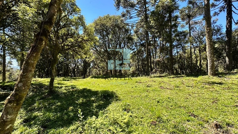 Terreno ao Lado da Cidade: 9ª foto da galeria de imagens do imóvel