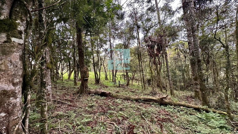 Terreno ao Lado da Cidade: 4ª foto da galeria de imagens do imóvel