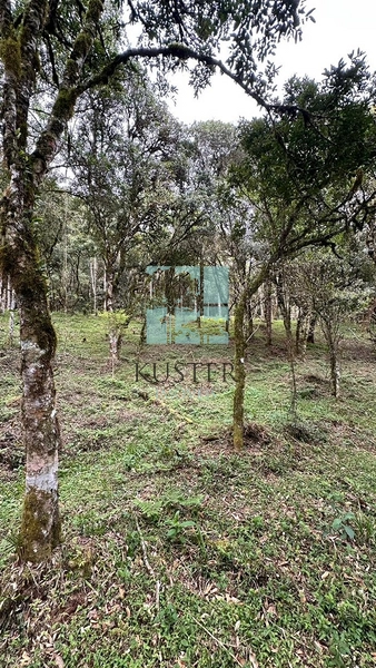 Terreno ao Lado da Cidade: 8ª foto da galeria de imagens do imóvel