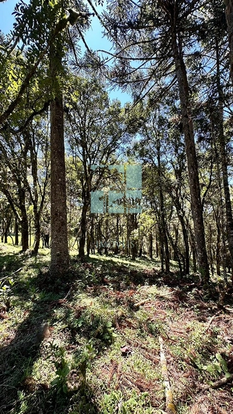 Terreno ao Lado da Cidade: 5ª foto da galeria de imagens do imóvel