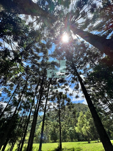 Terreno com rio: 7ª foto da galeria de imagens do imóvel