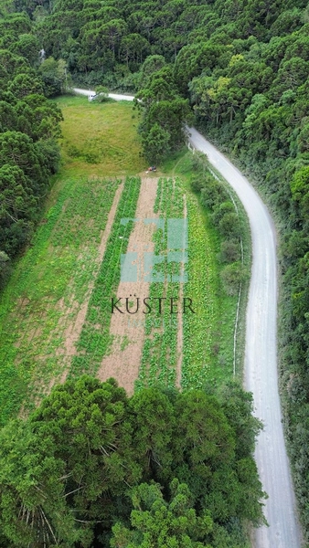 Terreno com rio: 4ª foto da galeria de imagens do imóvel