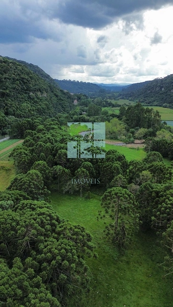 Terreno com rio: 5ª foto da galeria de imagens do imóvel