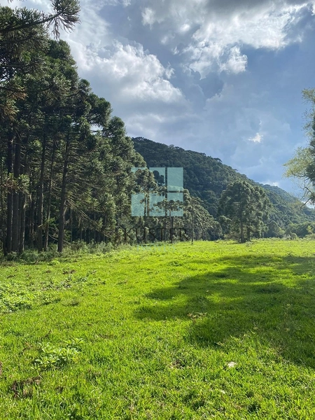 Terreno com rio: 2ª foto da galeria de imagens do imóvel