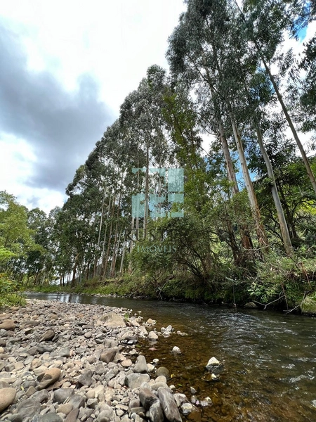 Terreno com rio: 6ª foto da galeria de imagens do imóvel