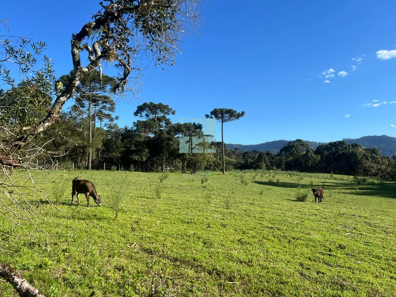 null: 2ª foto da galeria de imagens do imóvel