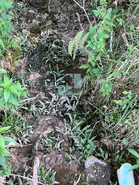 null: 4ª foto da galeria de imagens do imóvel