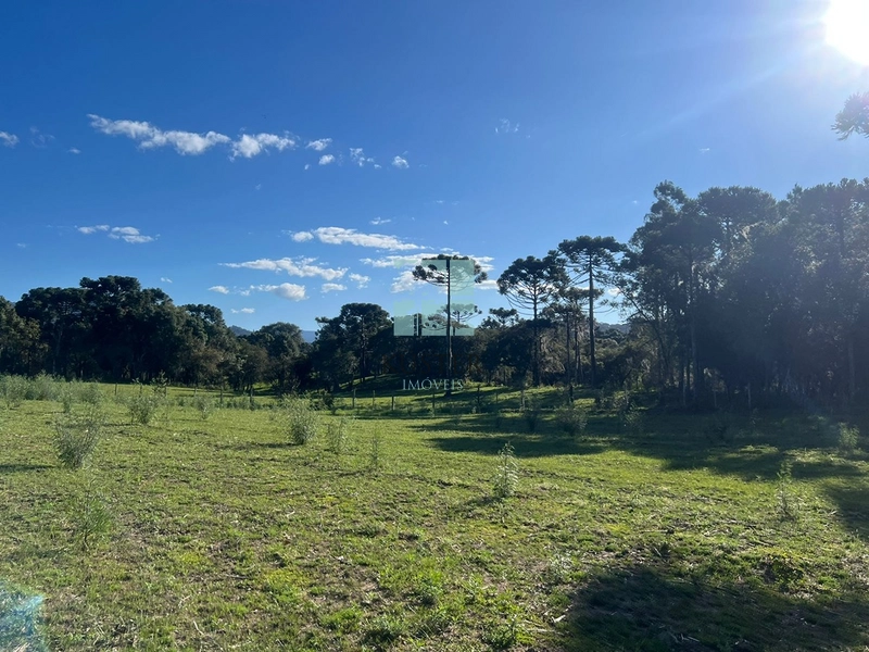 null: 9ª foto da galeria de imagens do imóvel