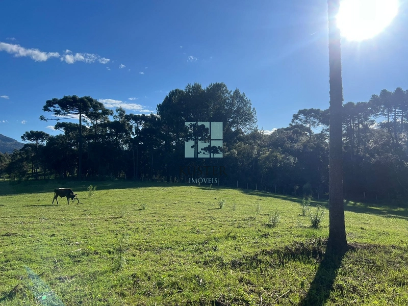 null: 12ª foto da galeria de imagens do imóvel