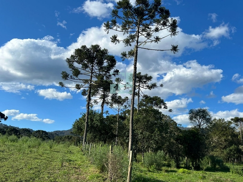 null: 6ª foto da galeria de imagens do imóvel