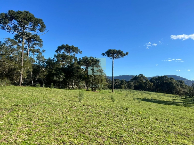 null: 7ª foto da galeria de imagens do imóvel