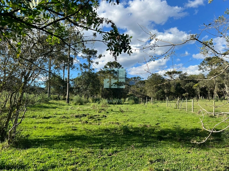 null: 11ª foto da galeria de imagens do imóvel