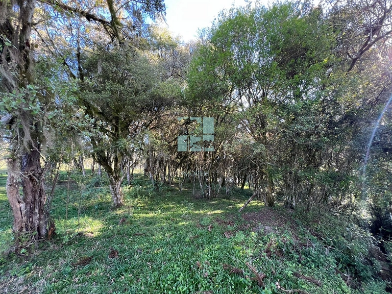 null: 5ª foto da galeria de imagens do imóvel