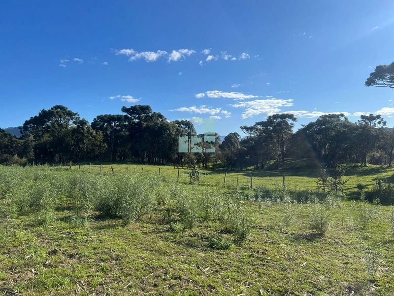 null: 10ª foto da galeria de imagens do imóvel