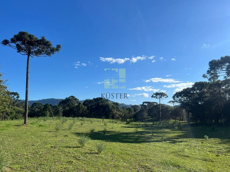 null: 3ª foto da galeria de imagens do imóvel