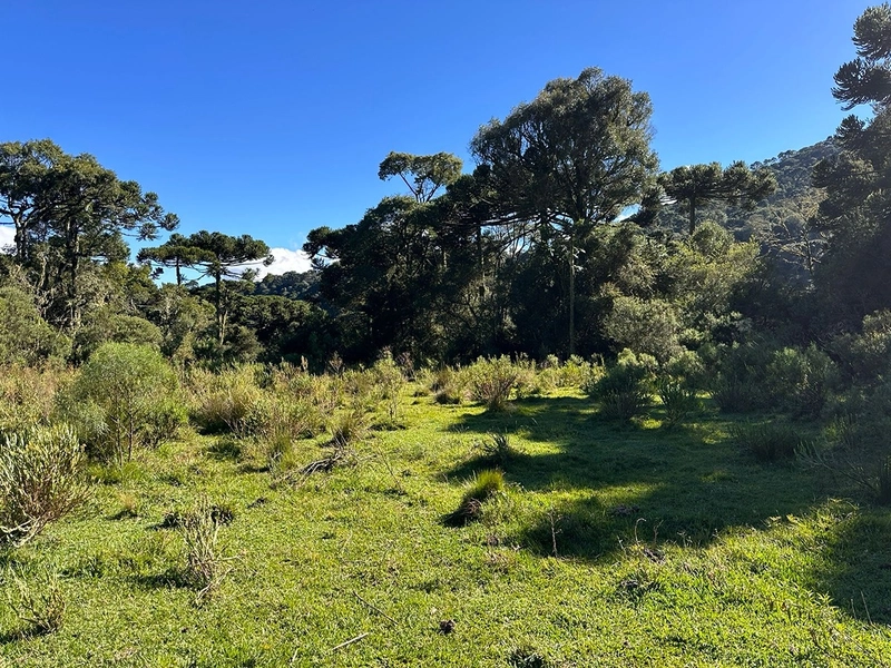 Terreno de Altitude com Preço Ótimo: 1ª foto da galeria de imagens do imóvel