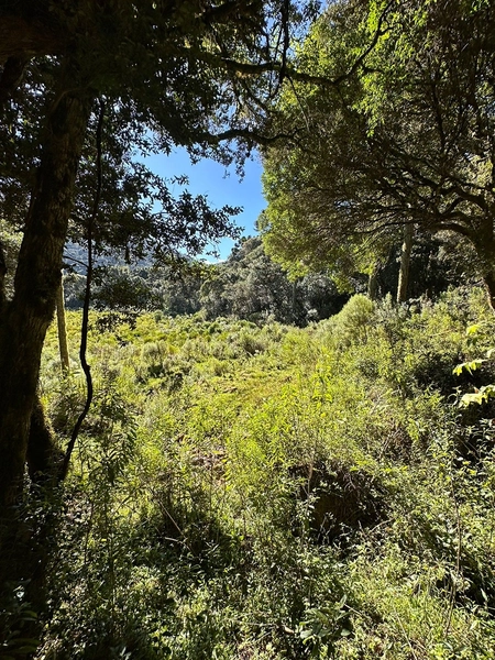 Terreno de Altitude com Preço Ótimo: 10ª foto da galeria de imagens do imóvel