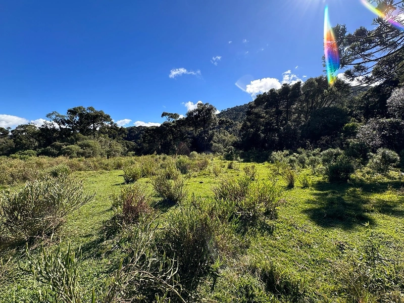 Terreno de Altitude com Preço Ótimo: 6ª foto da galeria de imagens do imóvel