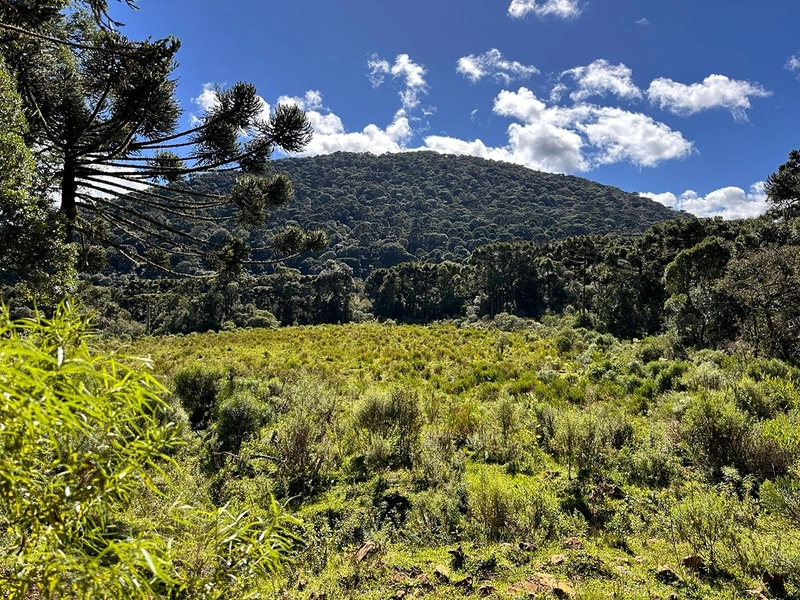 Terreno de Altitude com Preço Ótimo: 3ª foto da galeria de imagens do imóvel