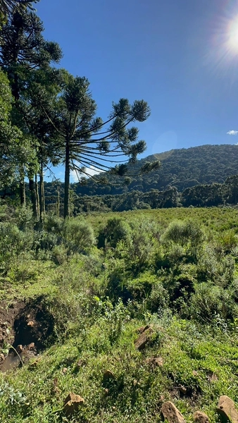 Terreno de Altitude com Preço Ótimo: 4ª foto da galeria de imagens do imóvel