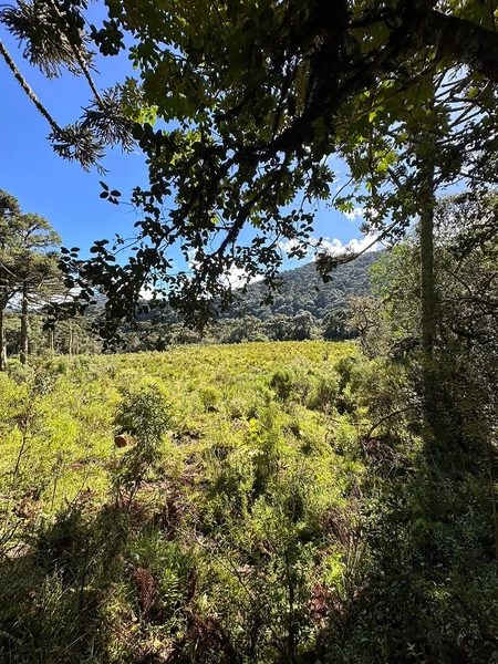 Terreno de Altitude com Preço Ótimo: 5ª foto da galeria de imagens do imóvel