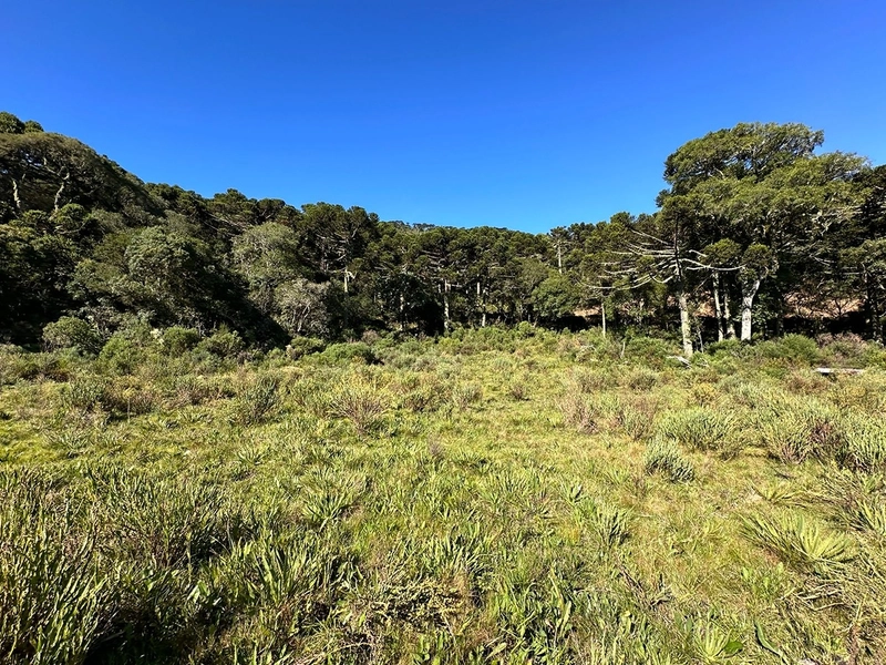 Terreno de Altitude com Preço Ótimo: 2ª foto da galeria de imagens do imóvel