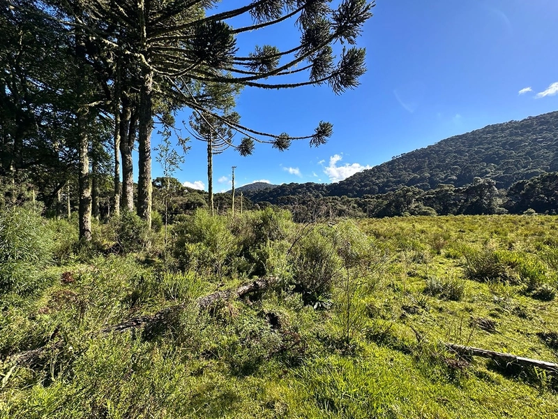 Terreno de Altitude com Preço Ótimo: 8ª foto da galeria de imagens do imóvel