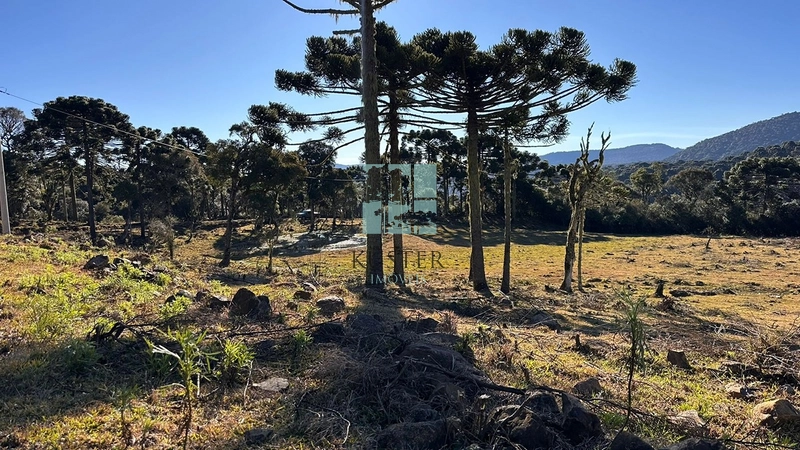 Terreno Urubici: 5ª foto da galeria de imagens do imóvel