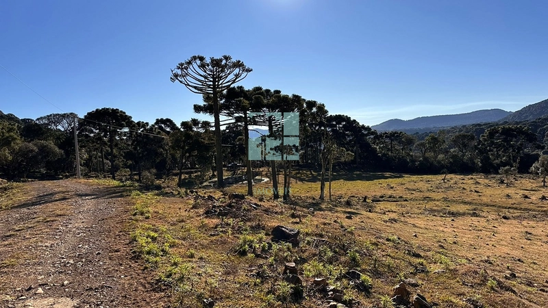 Terreno Urubici: 8ª foto da galeria de imagens do imóvel