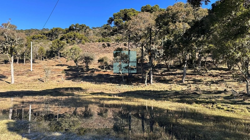 Terreno Urubici: 4ª foto da galeria de imagens do imóvel