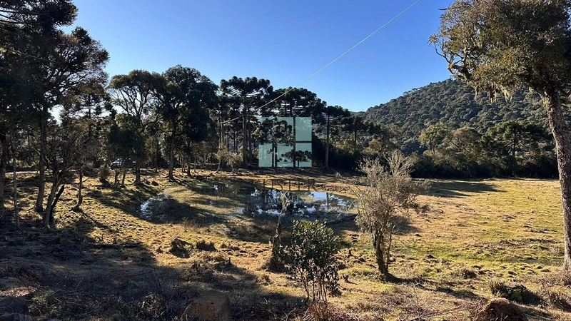Terreno Urubici: 10ª foto da galeria de imagens do imóvel