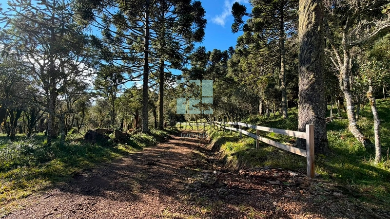 Sua Casa de Campo em Urubici: 10ª foto da galeria de imagens do imóvel