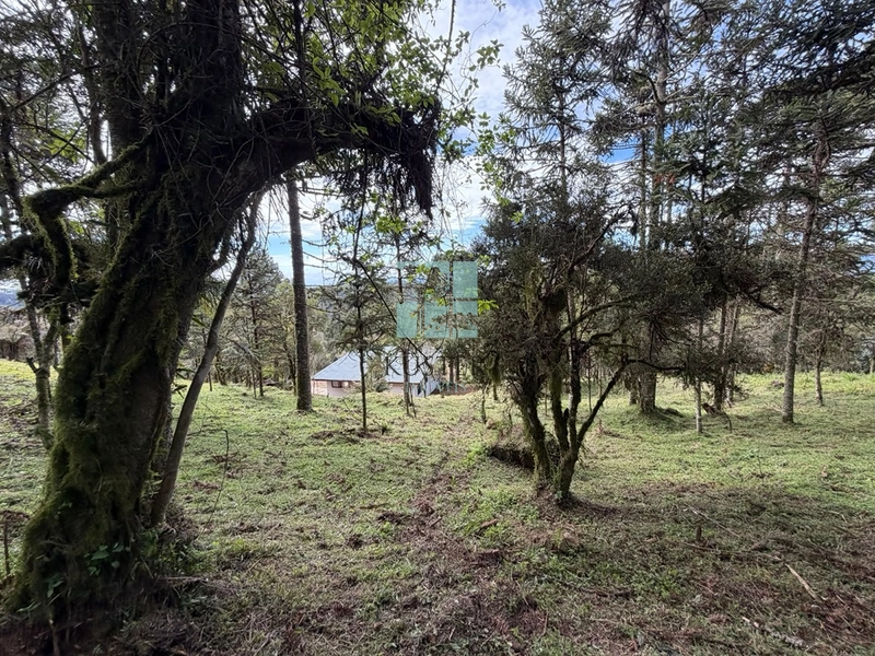 Sua Casa de Campo em Urubici: 14ª foto da galeria de imagens do imóvel