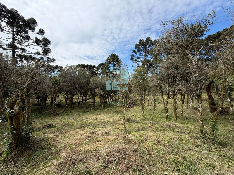 Sua Casa de Campo em Urubici: 17ª foto da galeria de imagens do imóvel