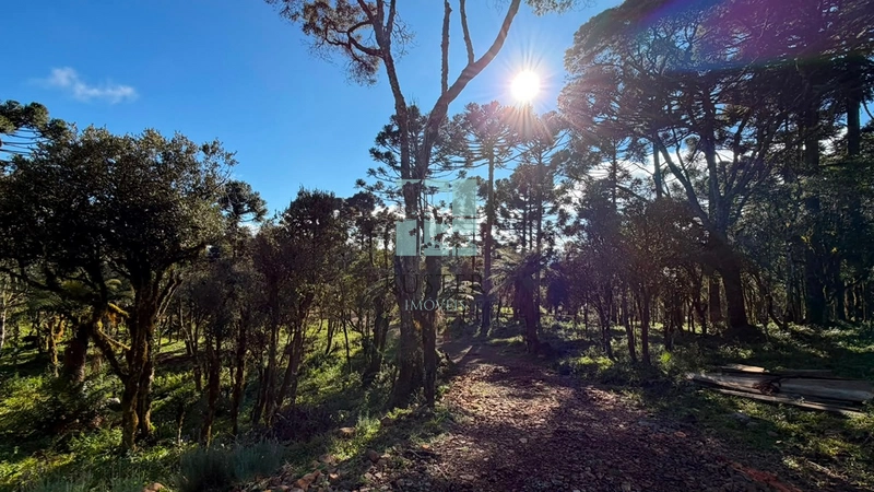 Sua Casa de Campo em Urubici: 11ª foto da galeria de imagens do imóvel