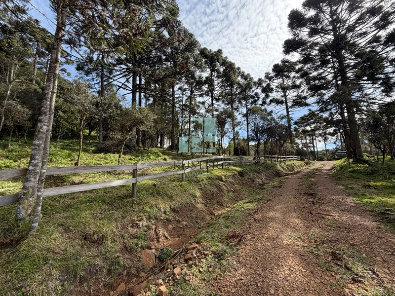 Sua Casa de Campo em Urubici: 5ª foto da galeria de imagens do imóvel