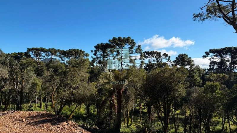 Sua Casa de Campo em Urubici: 7ª foto da galeria de imagens do imóvel